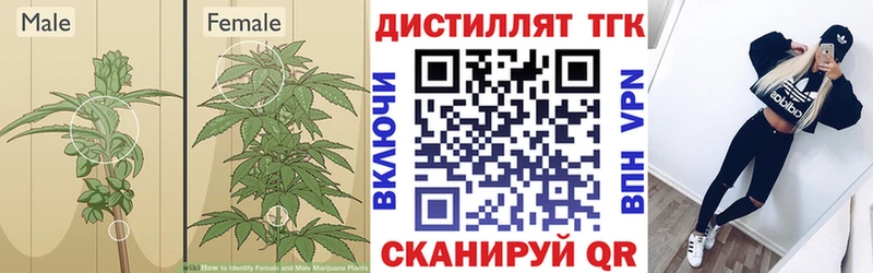 дарк нет состав где можно купить наркотик Макарьев ТГК гашишное масло